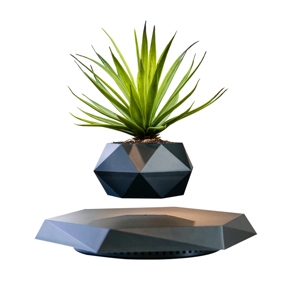 The LeviPlantPot™ Black Onyx