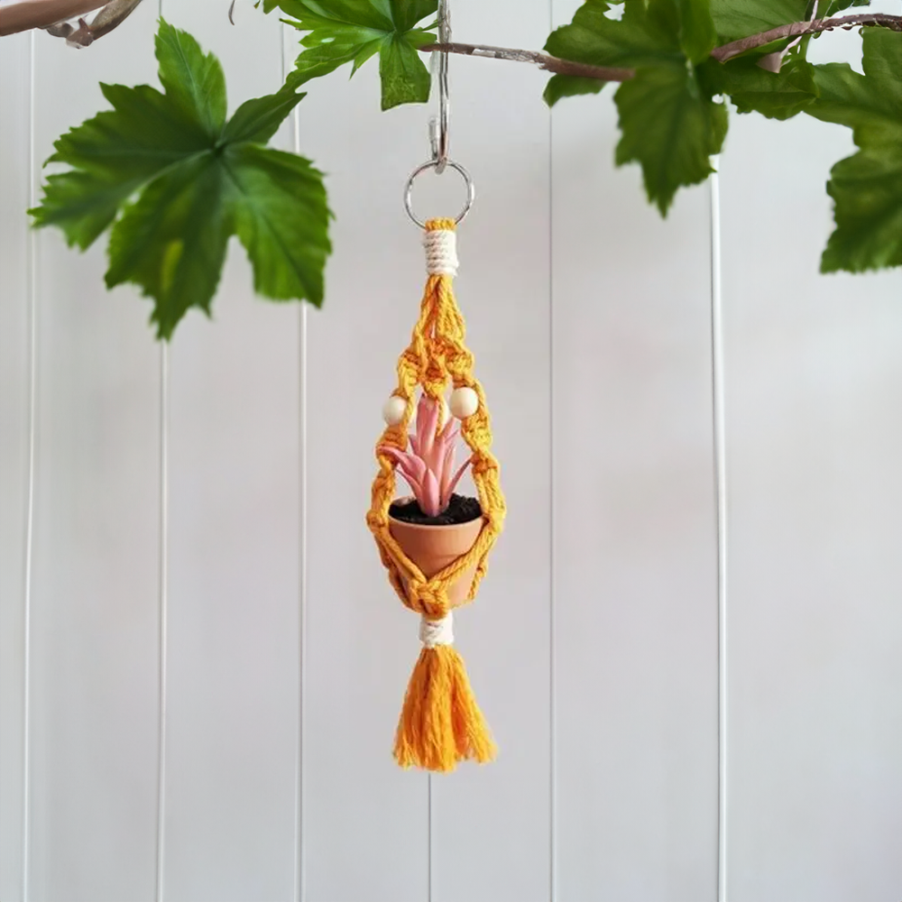 Macrame Car Plant Hanger Orange