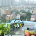 Bird Stained Glass Hangings