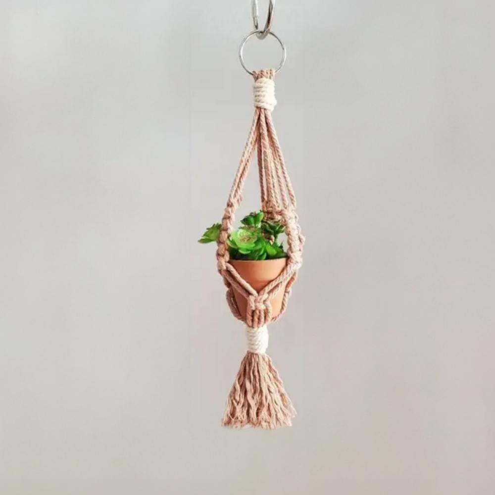 Macrame Car Plant Hanger Beige