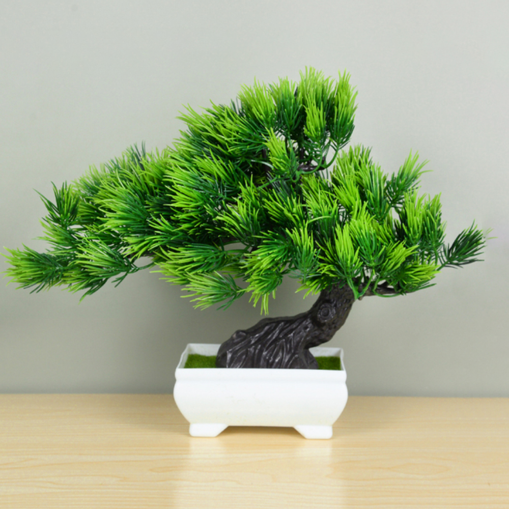 Ornamental Bonsai Tree Verdant