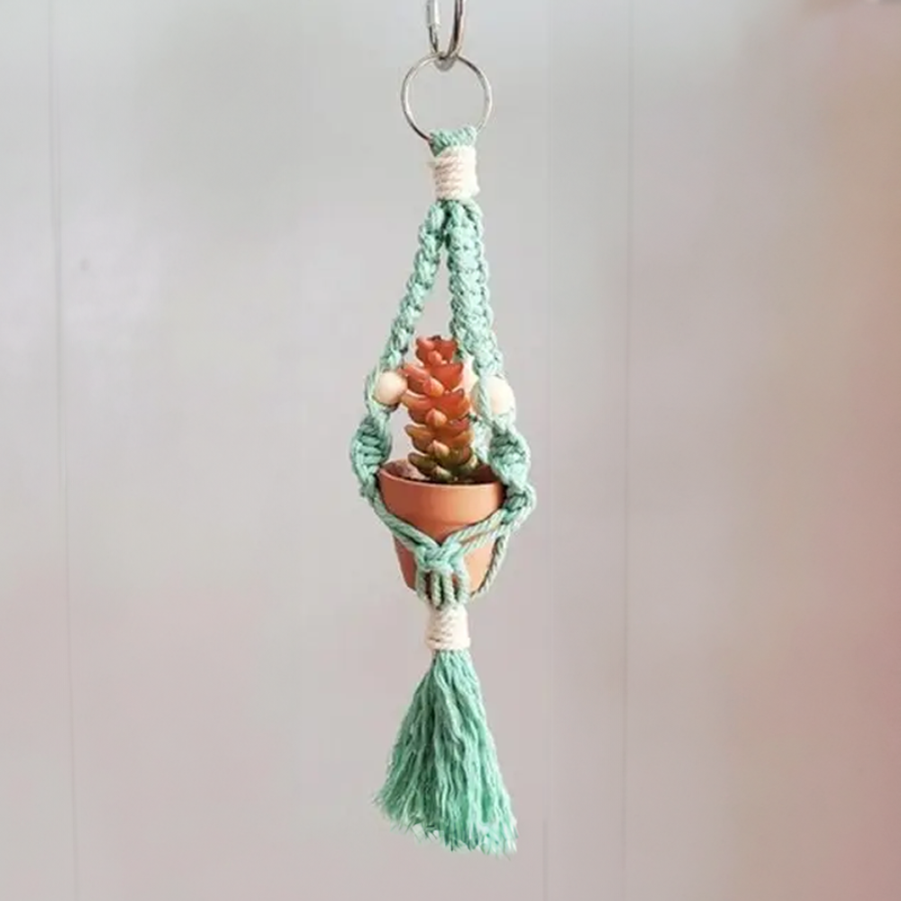 Macrame Car Plant Hanger Blue