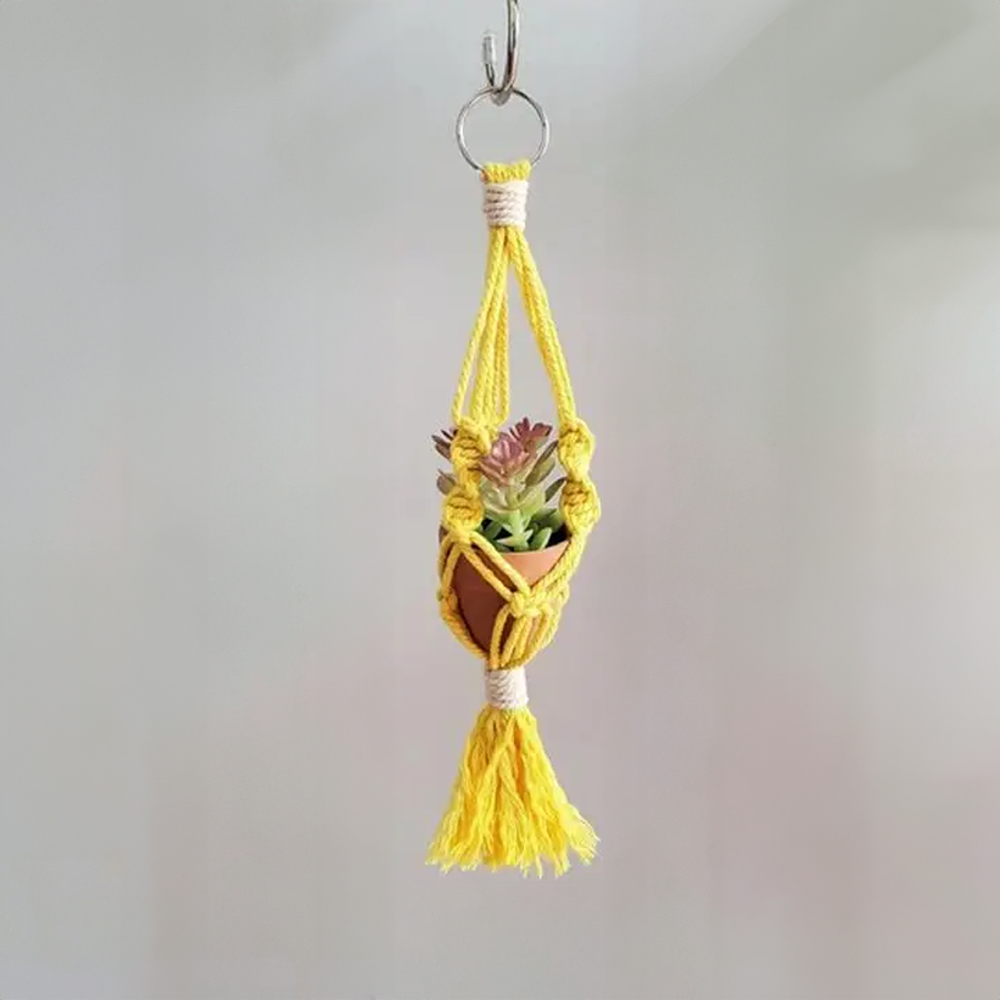 Macrame Car Plant Hanger Yellow