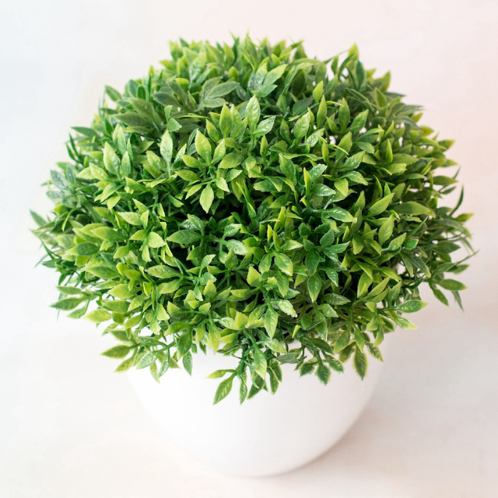 Ornamental Bonsai Tree Grassy