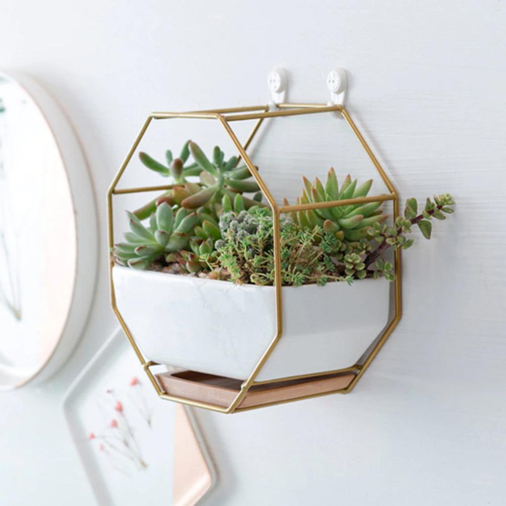 Hexa Frame Wall Planter Gold
