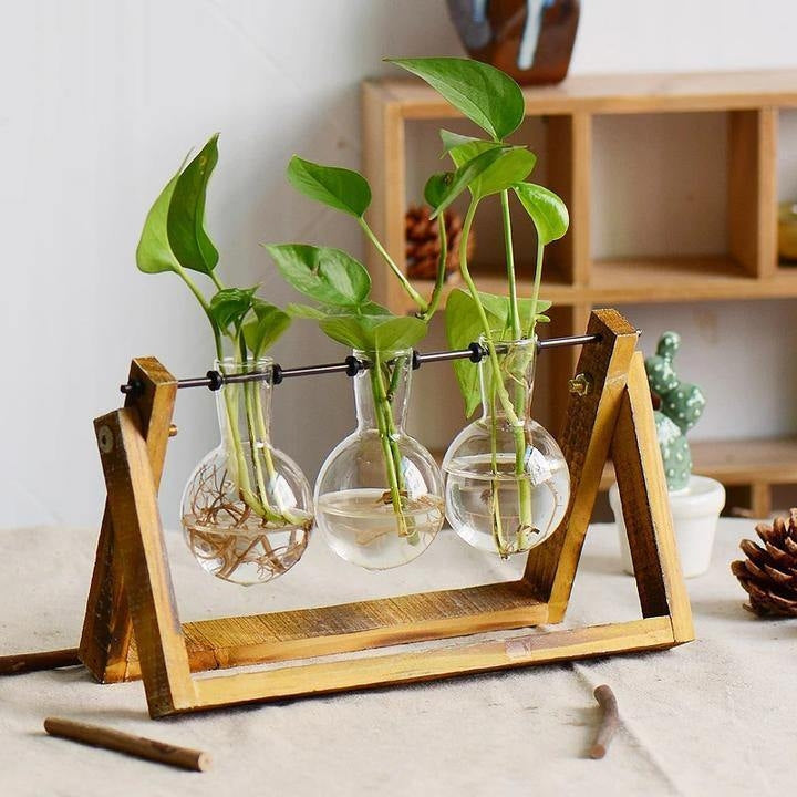 Aesthetic Terrarium Vase Large
