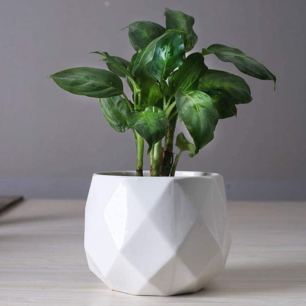 Diamond Ceramic Succulent Pots Large | 12x9cm