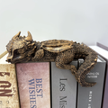 Sleepy™ | Dragon Bookshelf Decor