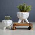 2-Piece White Ceramic Facial Succulent Planters