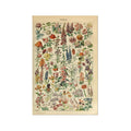 Wildflower Poster