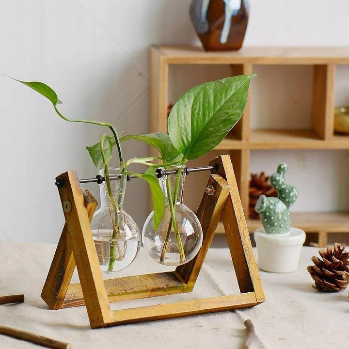 Aesthetic Terrarium Vase Medium