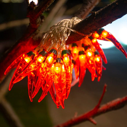 Chili String Lights 10M 100LEDs