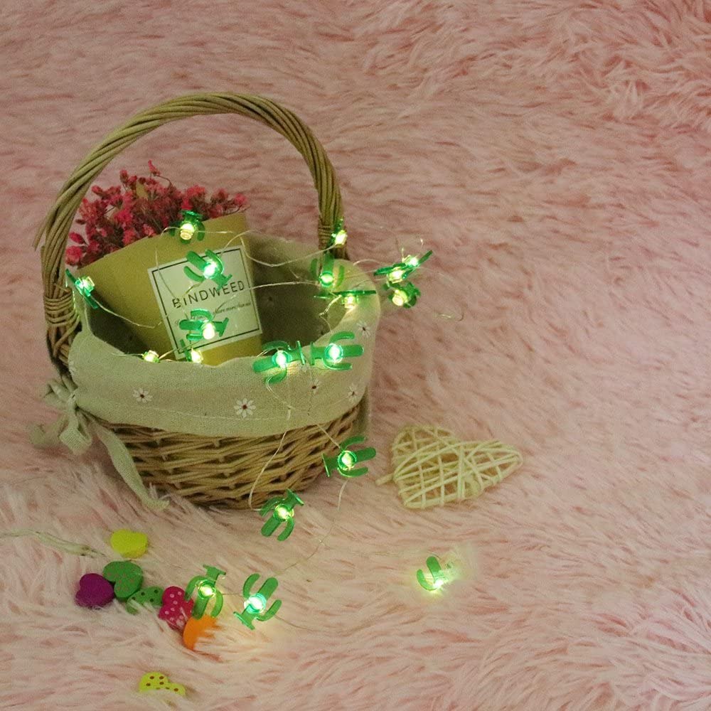 Cactus String Lights