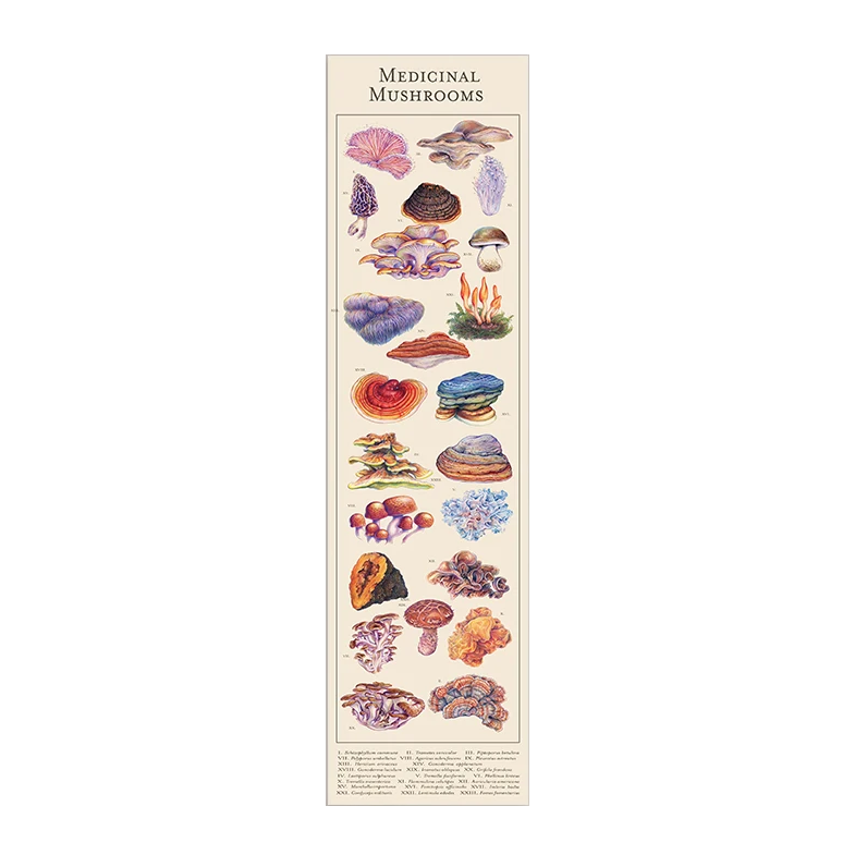 Medicinal Mushroom Illustration Tapestry