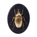 Mystic Beetle Pendant