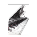 Silent Piano