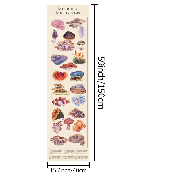 Medicinal Mushroom Illustration Tapestry