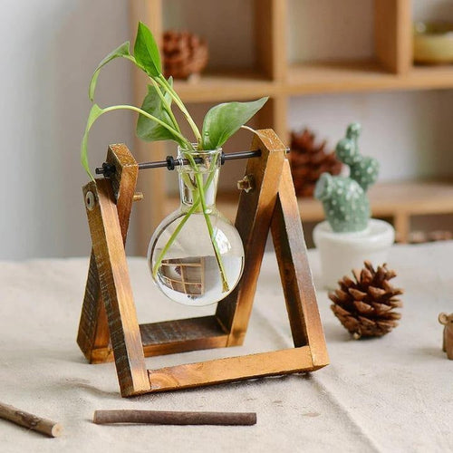 Aesthetic Terrarium Vase Small