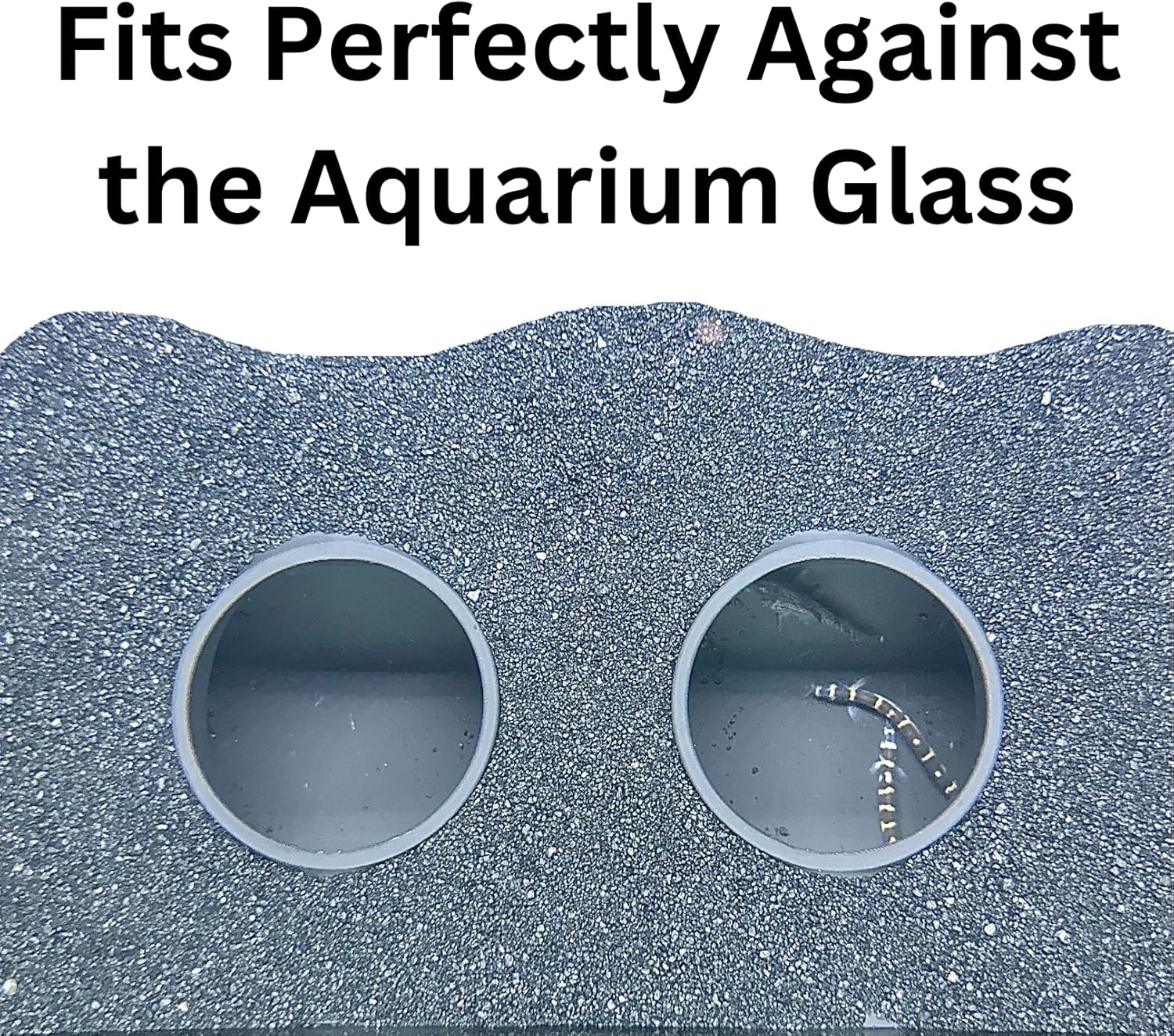AquaVault™ - Aquarium Underground Curve Tunnel