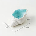 Shell Jewelry Holder
