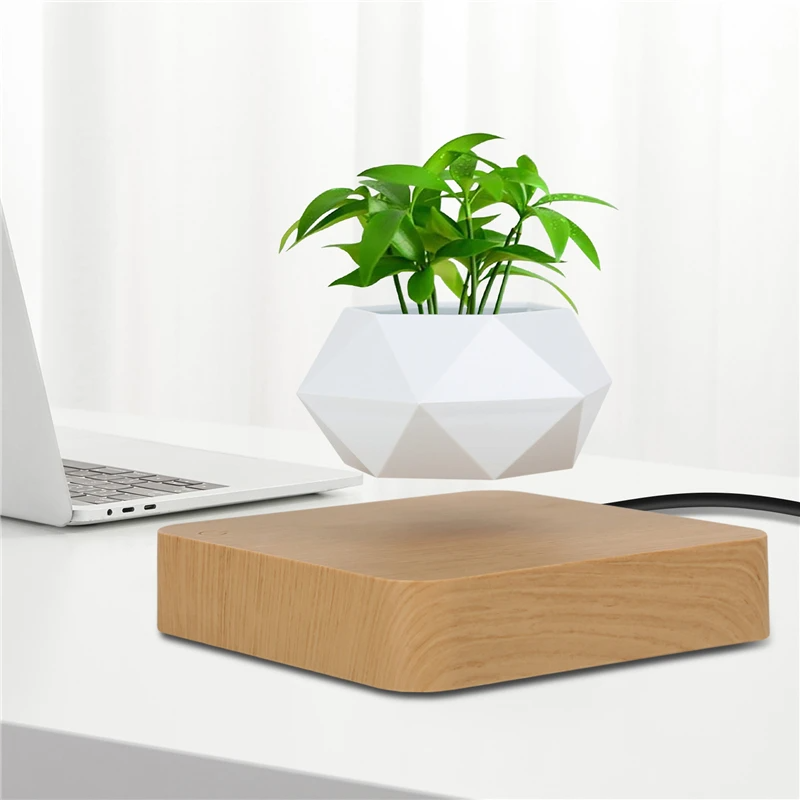 The LeviPlantPot™ Wood Base