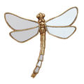 Magic Dragonfly Mirror