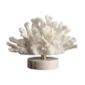 Ocean Vibes Decor
