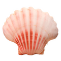 Sea Shell Plushy