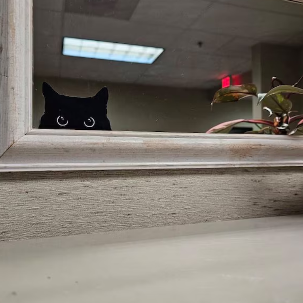 Sneaky Cat Sticker (BLACKLIST)