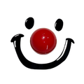 Smiley Face Toilet Lid Lifter