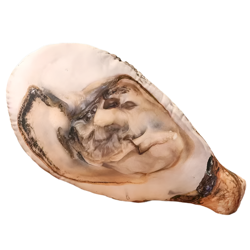 Sea Shell Plushy