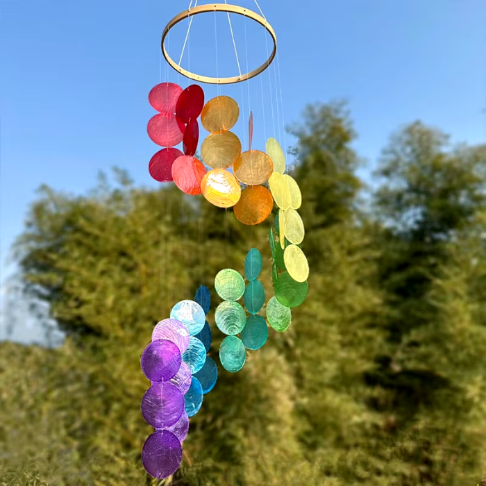 Shell Dream Catcher