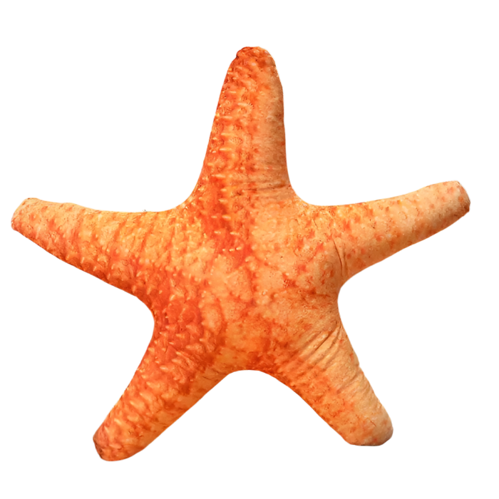 Sea Shell Plushy