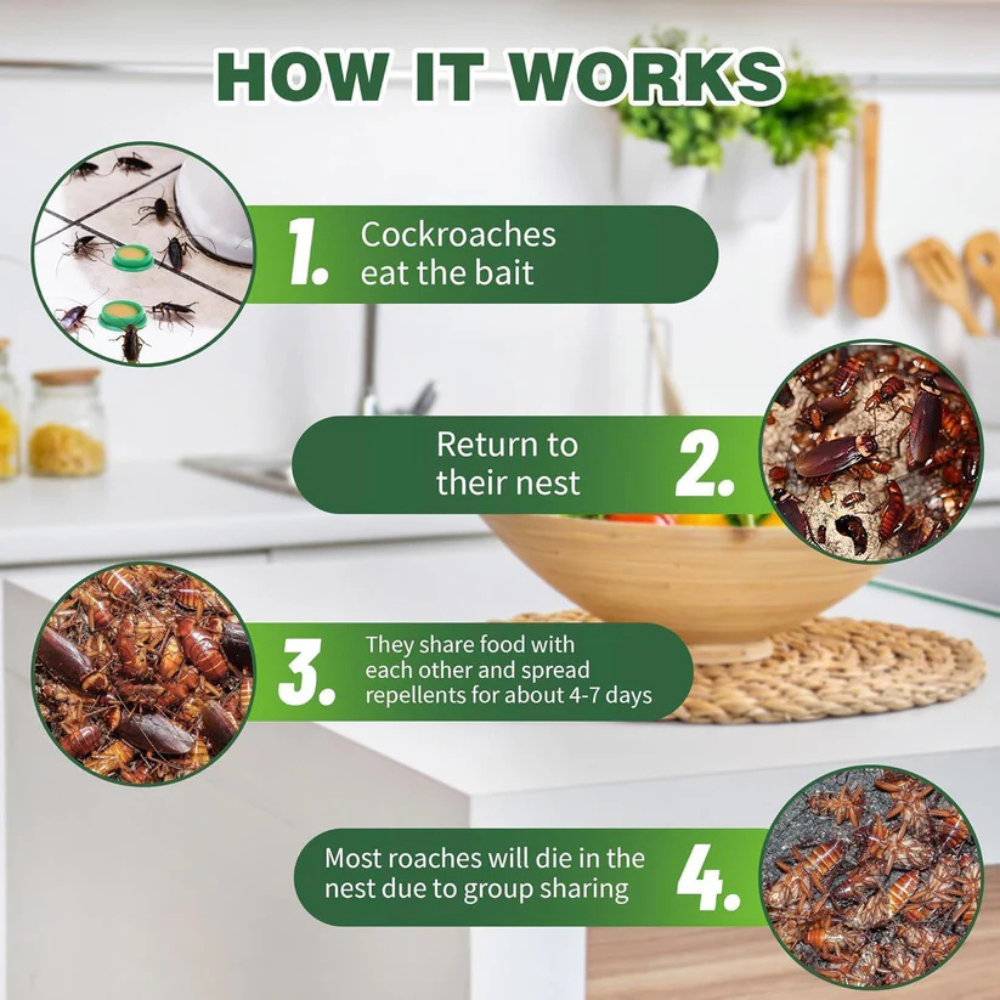 InsectoStop™ | Roach Repellent