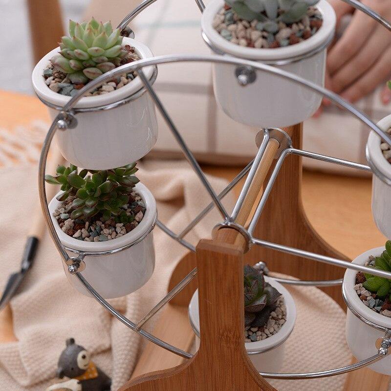 Wooden Carousel with Ceramic Succulent Planters