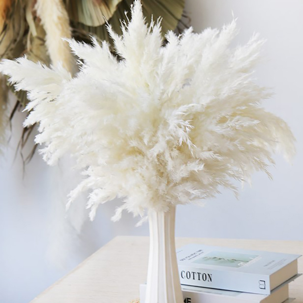 Pampas Grass Bouquet (Set of 5) White