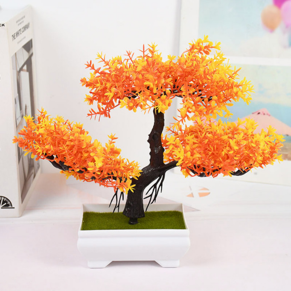 Ornamental Bonsai Tree Orange