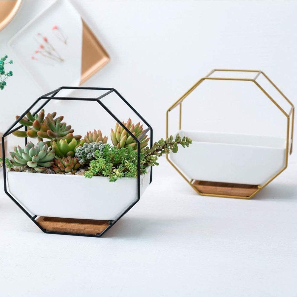 Hexa Frame Wall Planter