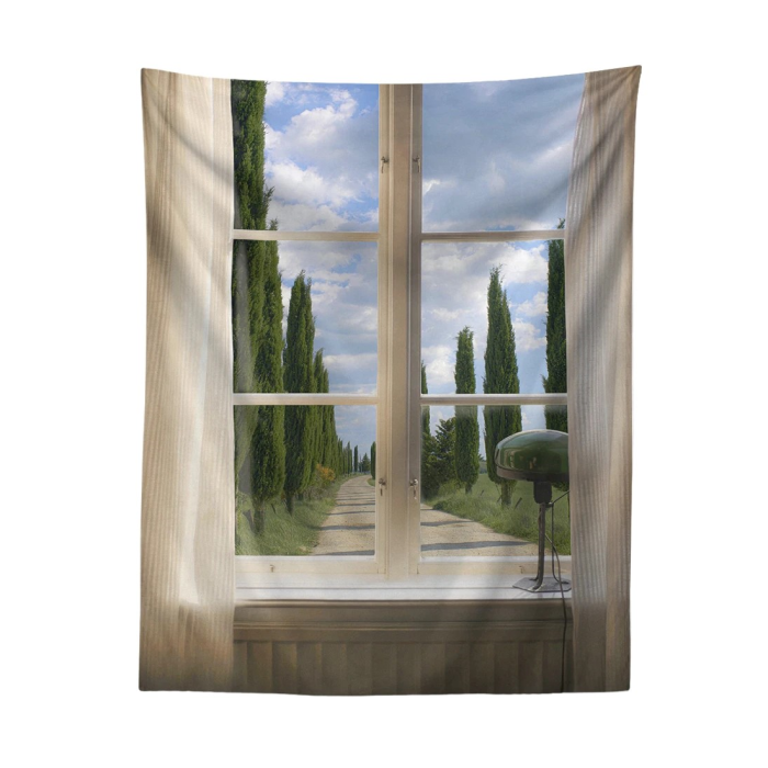 Aesthetic View Tapestry D