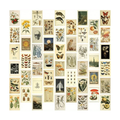 Light Academia Wall Collage