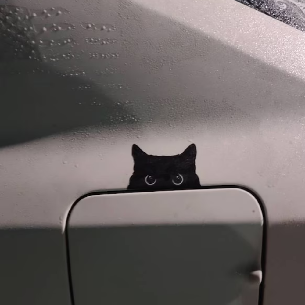 Sneaky Cat Sticker (BLACKLIST)
