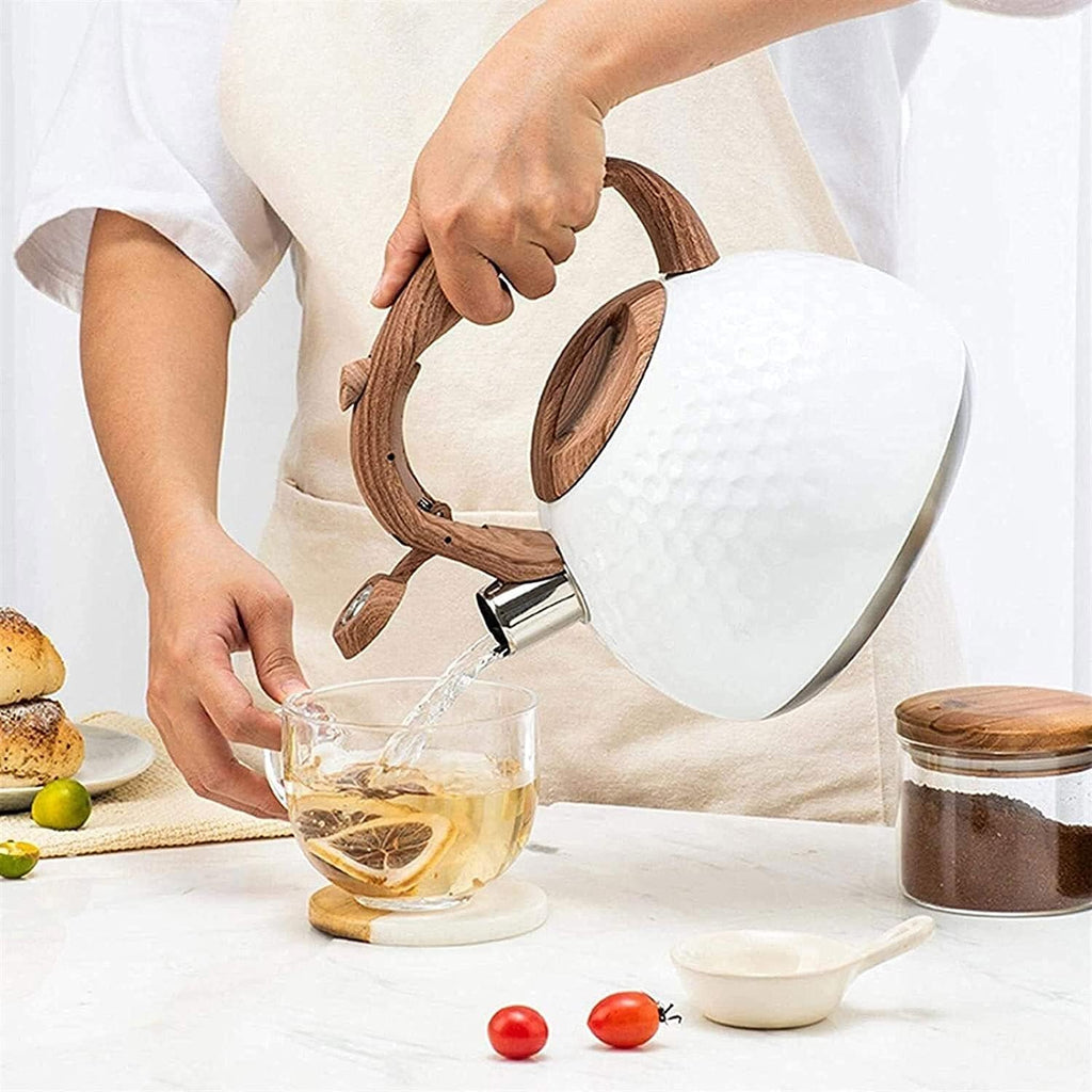 Stainless Steel Whistling Tea Kettle