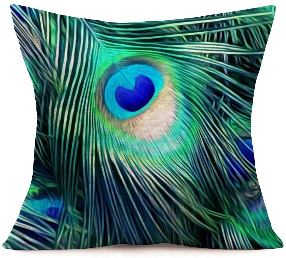 Peacock Cushion Covers Feather