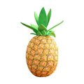 Pineapple Cushion