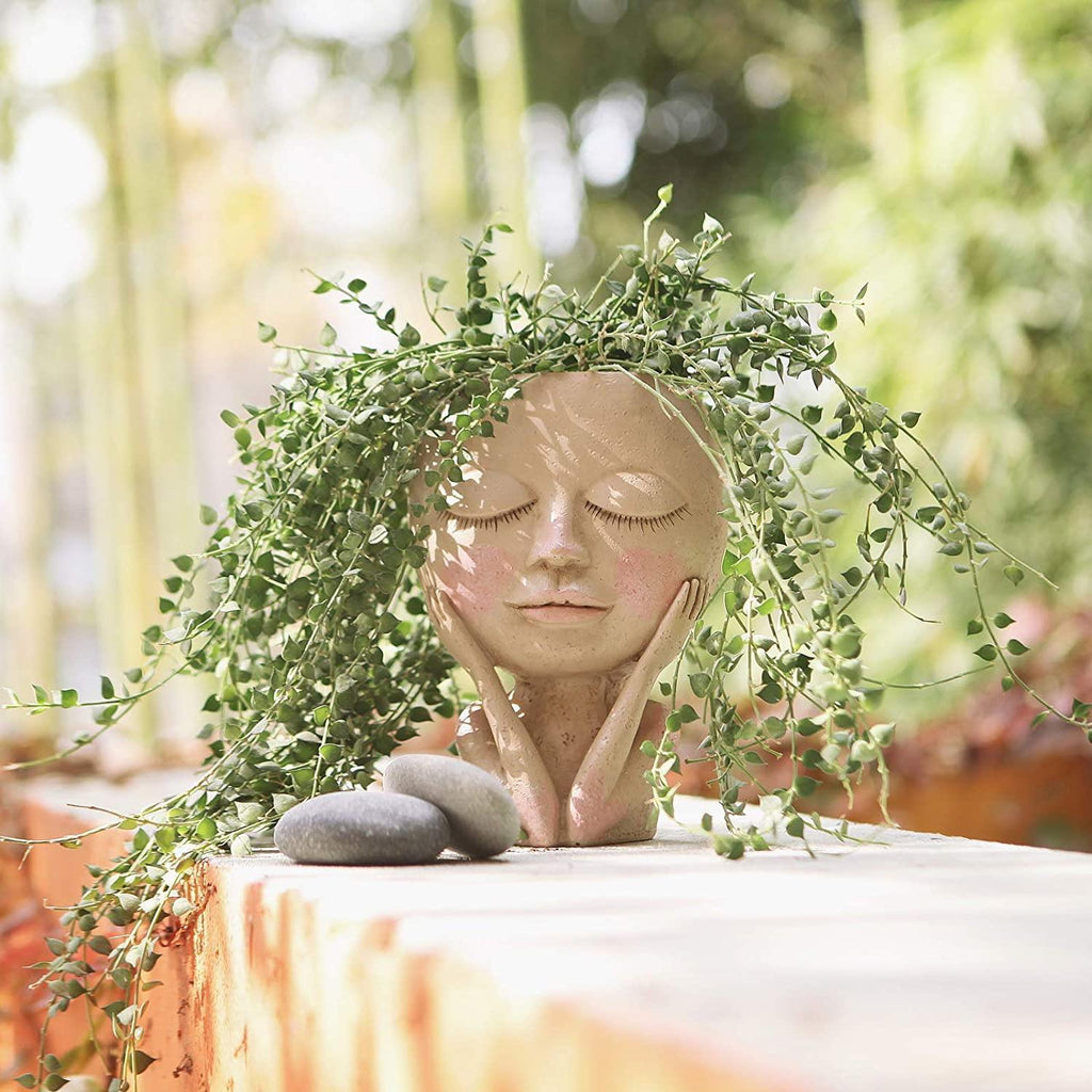 Rosy Cheeky Face Planter