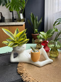 Lazy Larry™ – The Chill-Out Planter