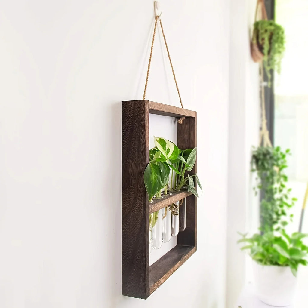Plant Propagating Photo Frame