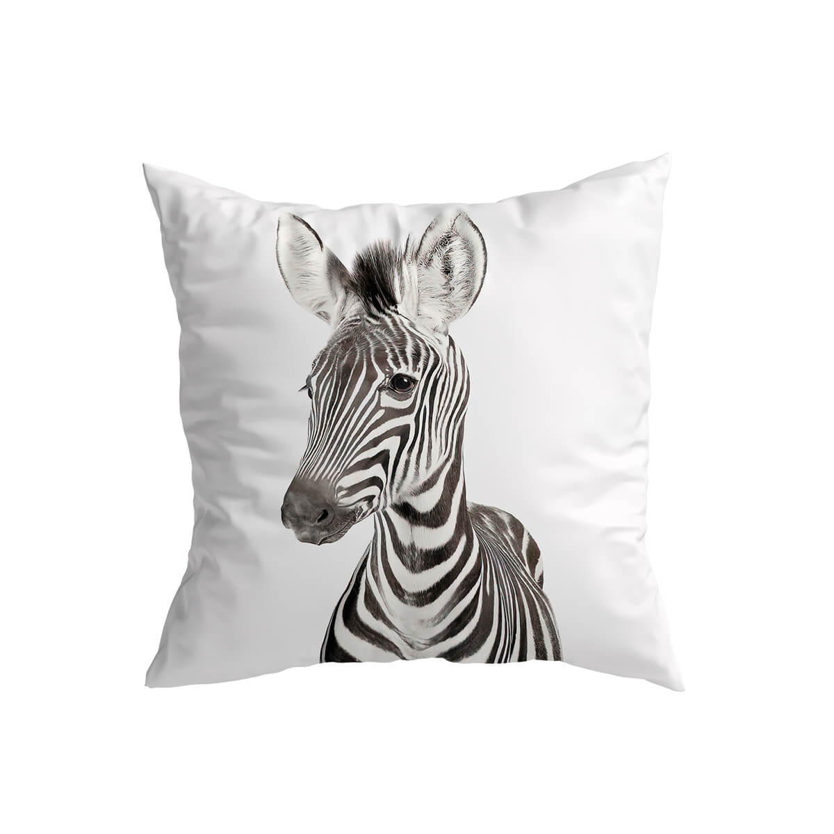 Safari Baby Animals Cushion Covers Baby Zebra