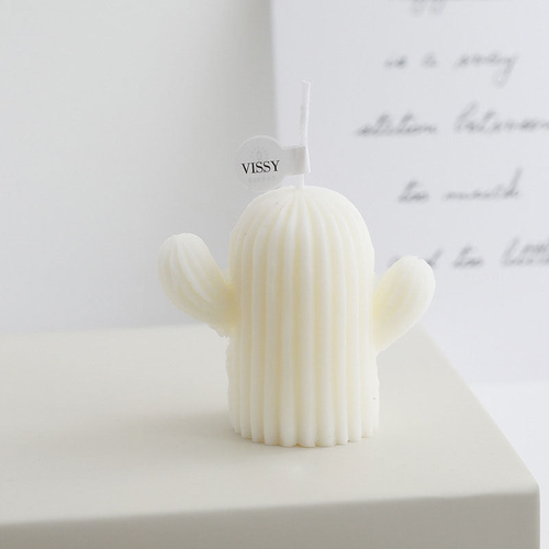 Cactus and Berries Soy Wax Decorative Candle White