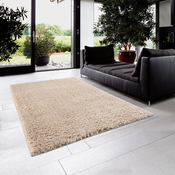 Camdyn Super Soft Polyester Shag Area Rug 6x9' Cream
